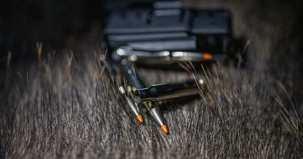 RWS HIT Short Rifle Langzeittest - RWS HIT Short Rifle Langzeittest