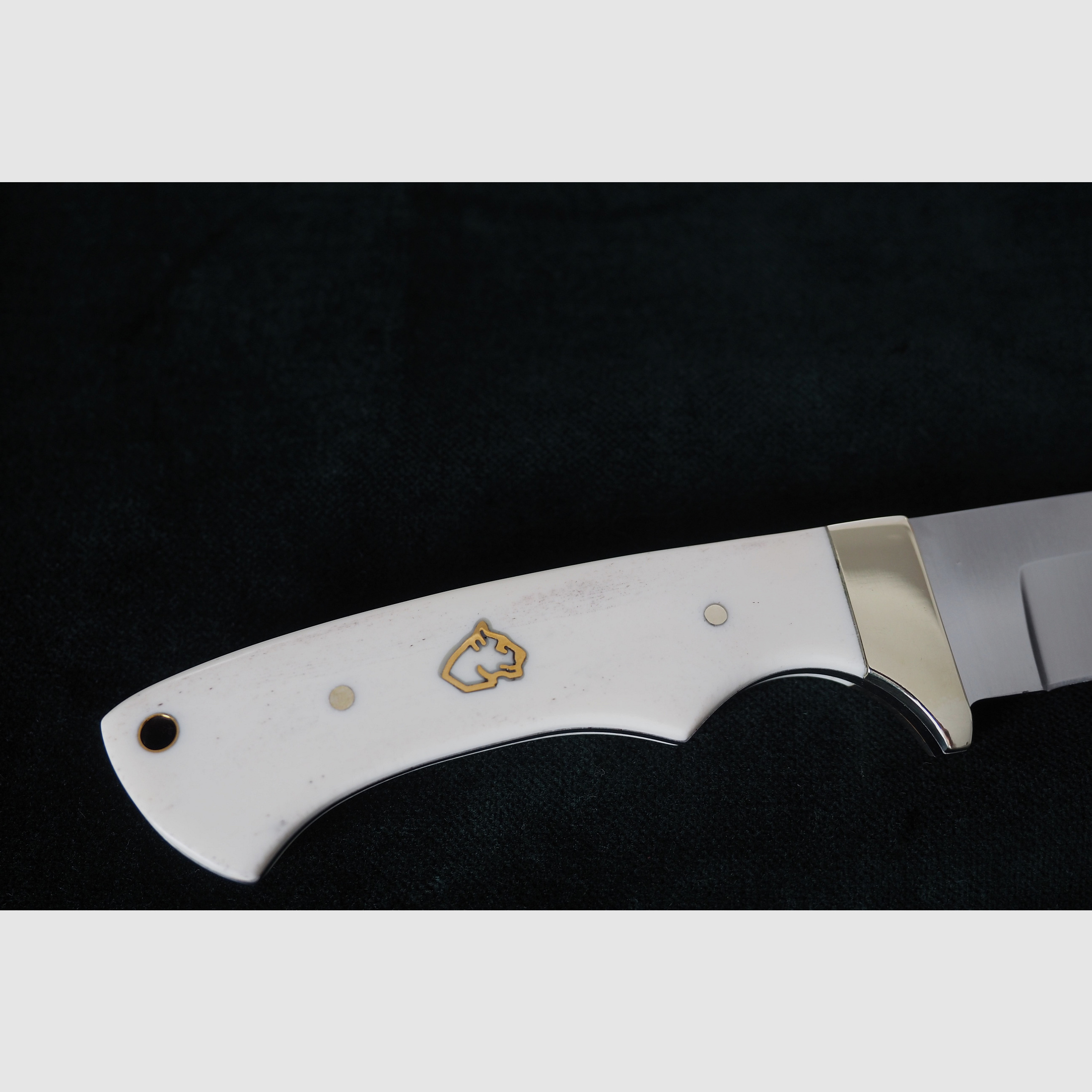 Puma SGB Coyote Glattes Weißes Knochen-Jagdmesser mit Lederscheide, Vitrinen Stück aus Sammlung, Neu und unbenutzt