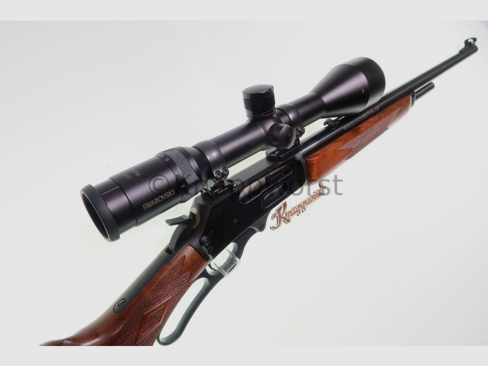 Marlin Marlin 1895