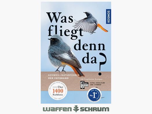 Kosmos Was fliegt denn da? Singer