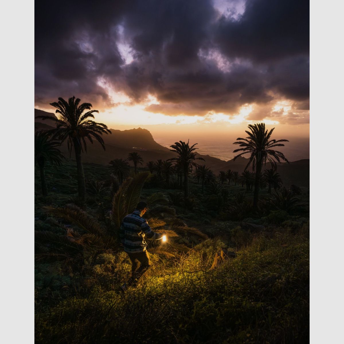 LEDLENSER Campinglampe ML6 Warm Light