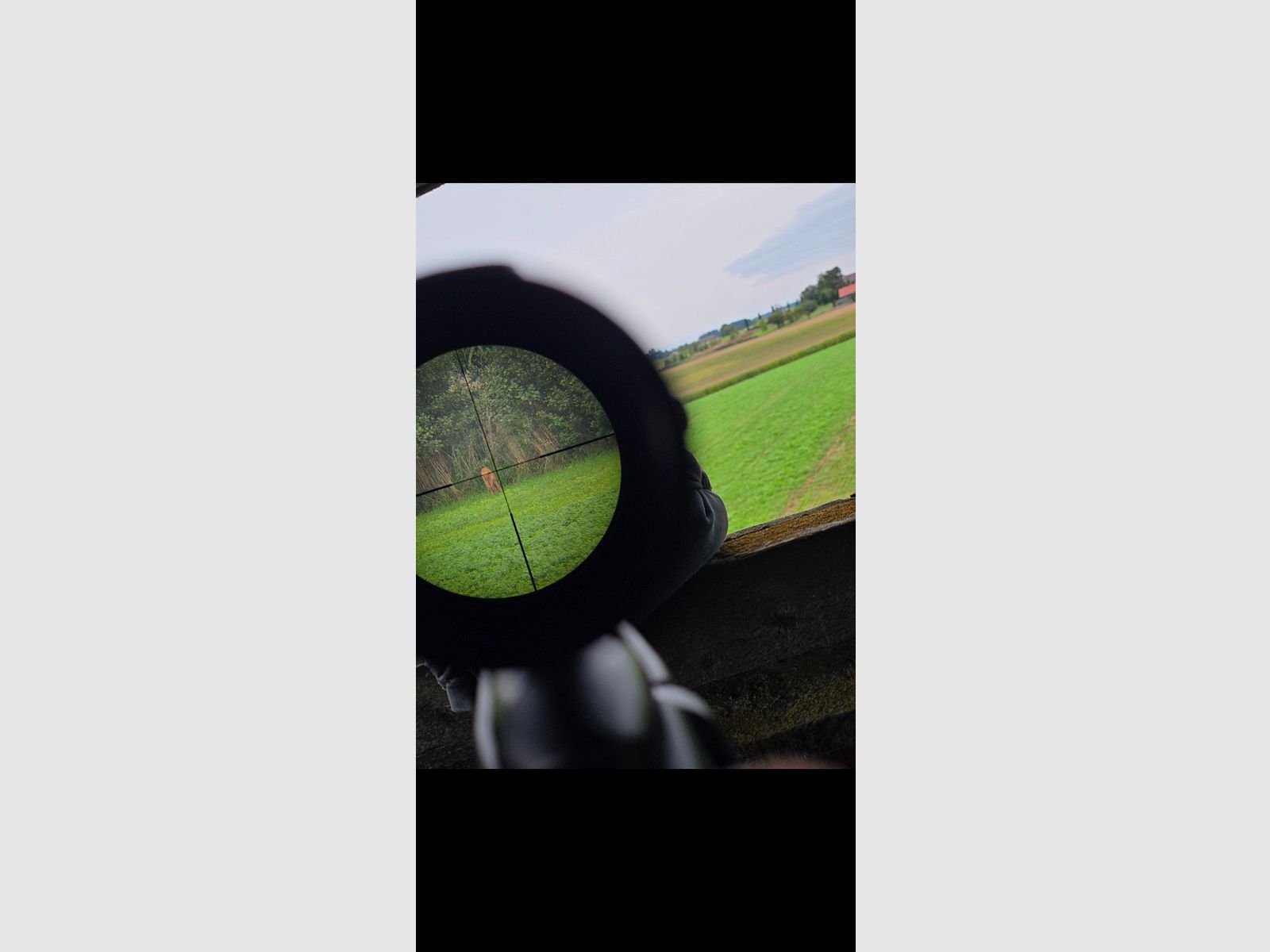 Mannlicher SM12 SX Goiserer