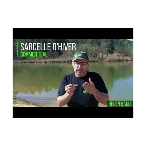 Appeau Sarcelle d'Hiver Mâle Helen Baud, image 13 sur 14