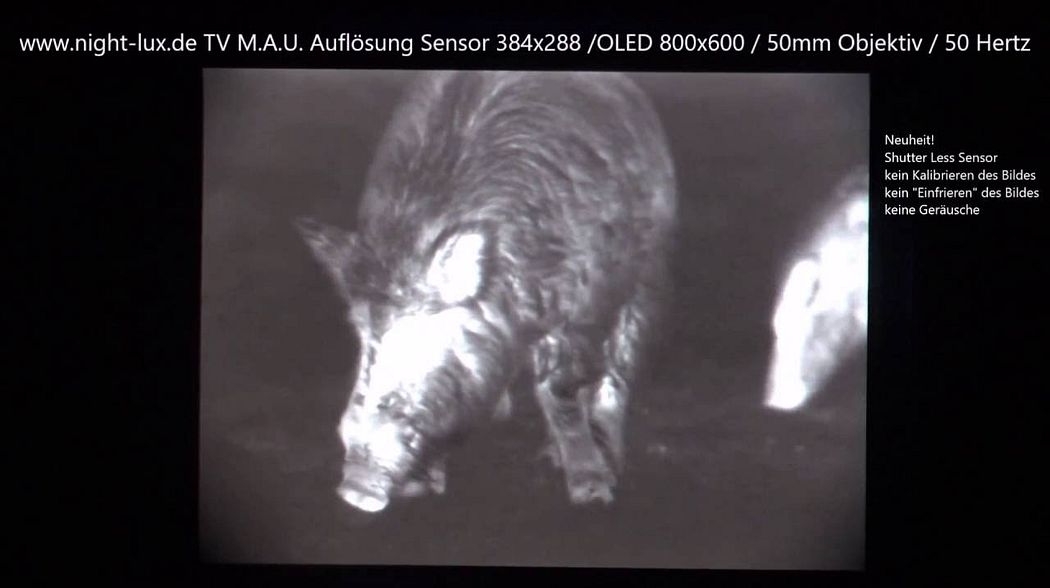 TV MAU Wärmebild Vorsatzgerät Wildschweine im Gatter 13 02 2016