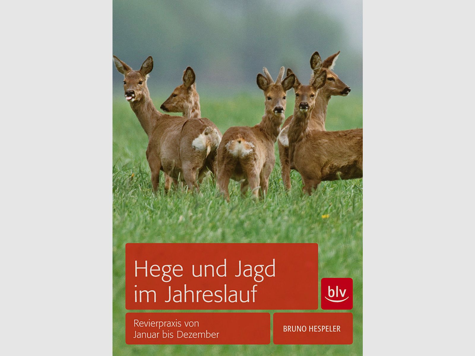 Hege und Jagd im Jahreslauf Revierpraxis von Januar bis Dezember