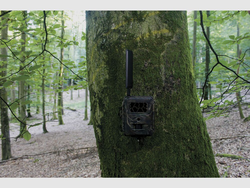 Seissiger Solarpanel für Wildkameras