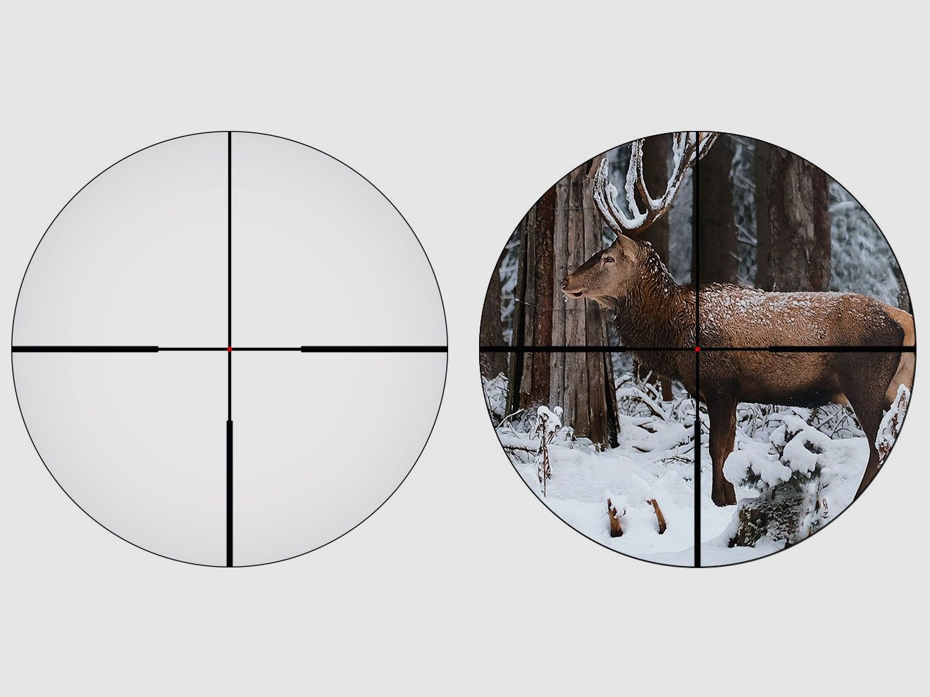 ALPEN OPTICS Apex XP target optics 2.5–16x42 A4 with SmartDot Technology