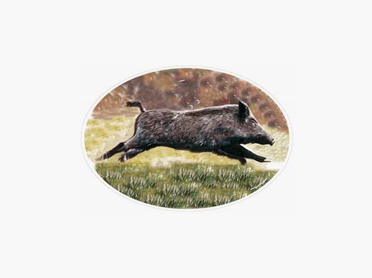 Wild zwijn sticker