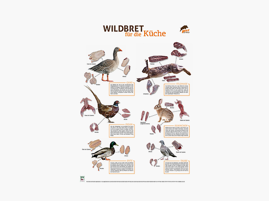 Wildbret-Poster Niederwild PVC