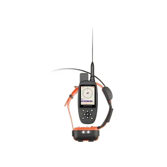 Collier Canicom GPS 2 Num'Axes - Dressur & GPS