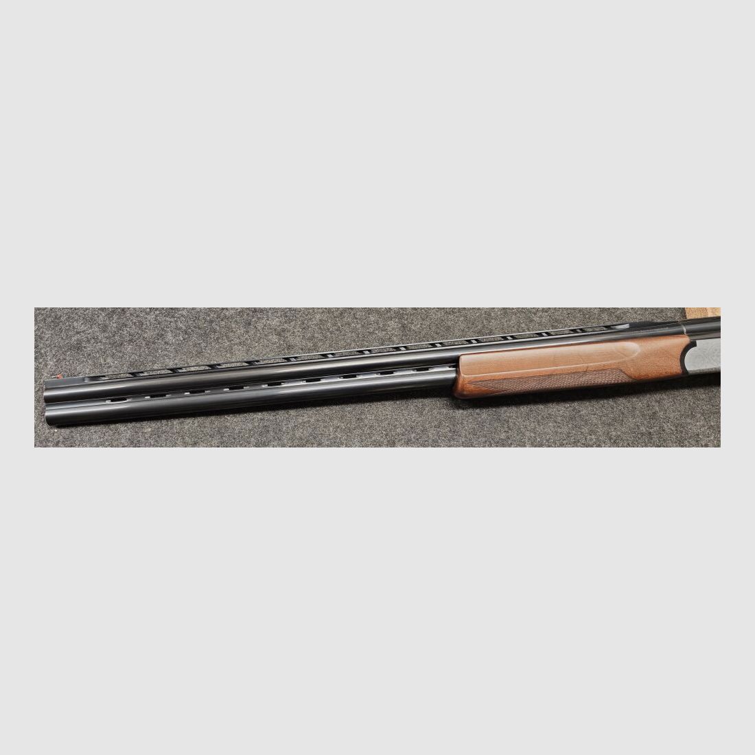 Sabatti / Mercury Olympo Trap