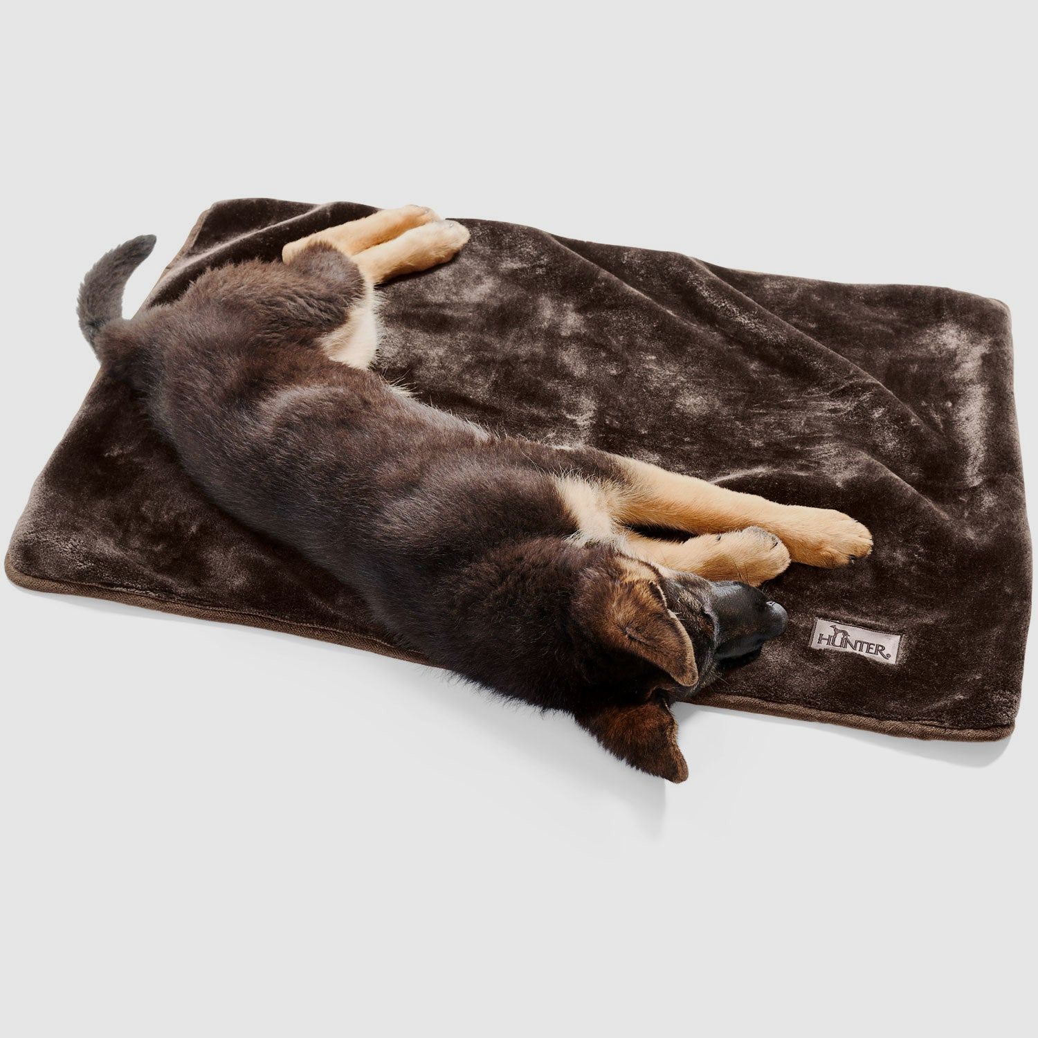 Hunter Hundedecke Konstanz