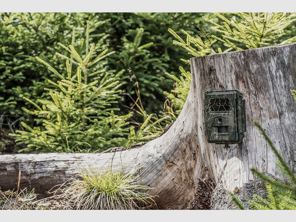 SEISSIGER Special-Cam CLASSIC