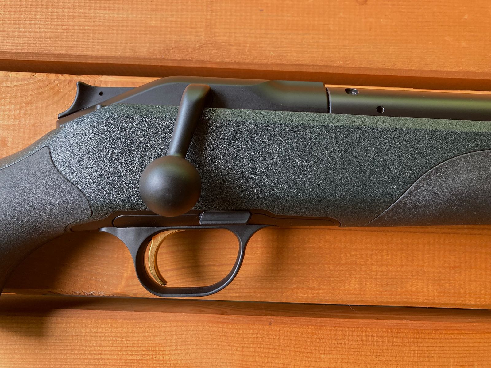 Blaser R8 Professional .308 Win.