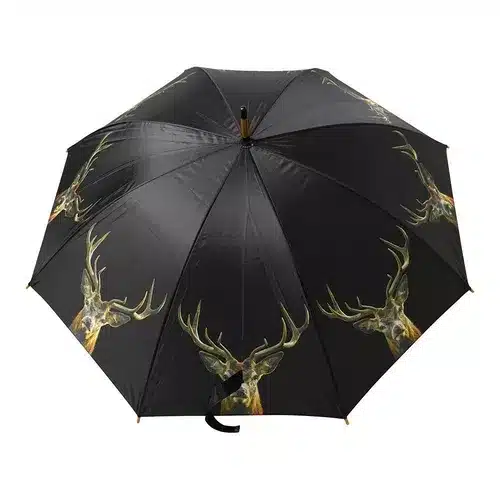 Regenbogen Kopf von Hirsch Lovergreen