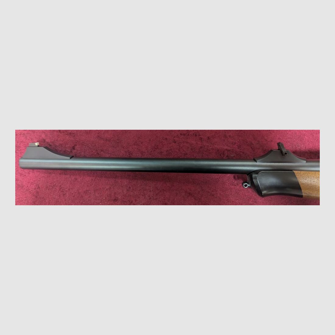 Blaser R8