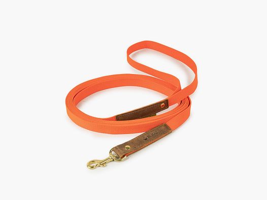 Trainingsleine "Praktikant", 5m , Orange
