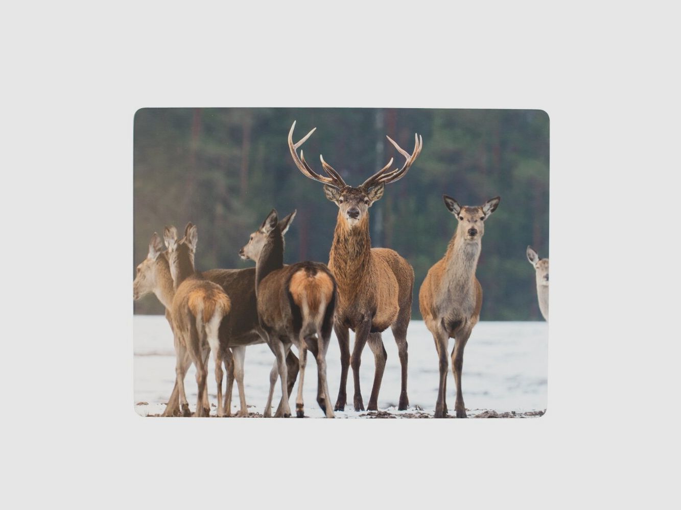 Sets de table Lovergreen Art de la table Motif Cerfs dans la neige x 6