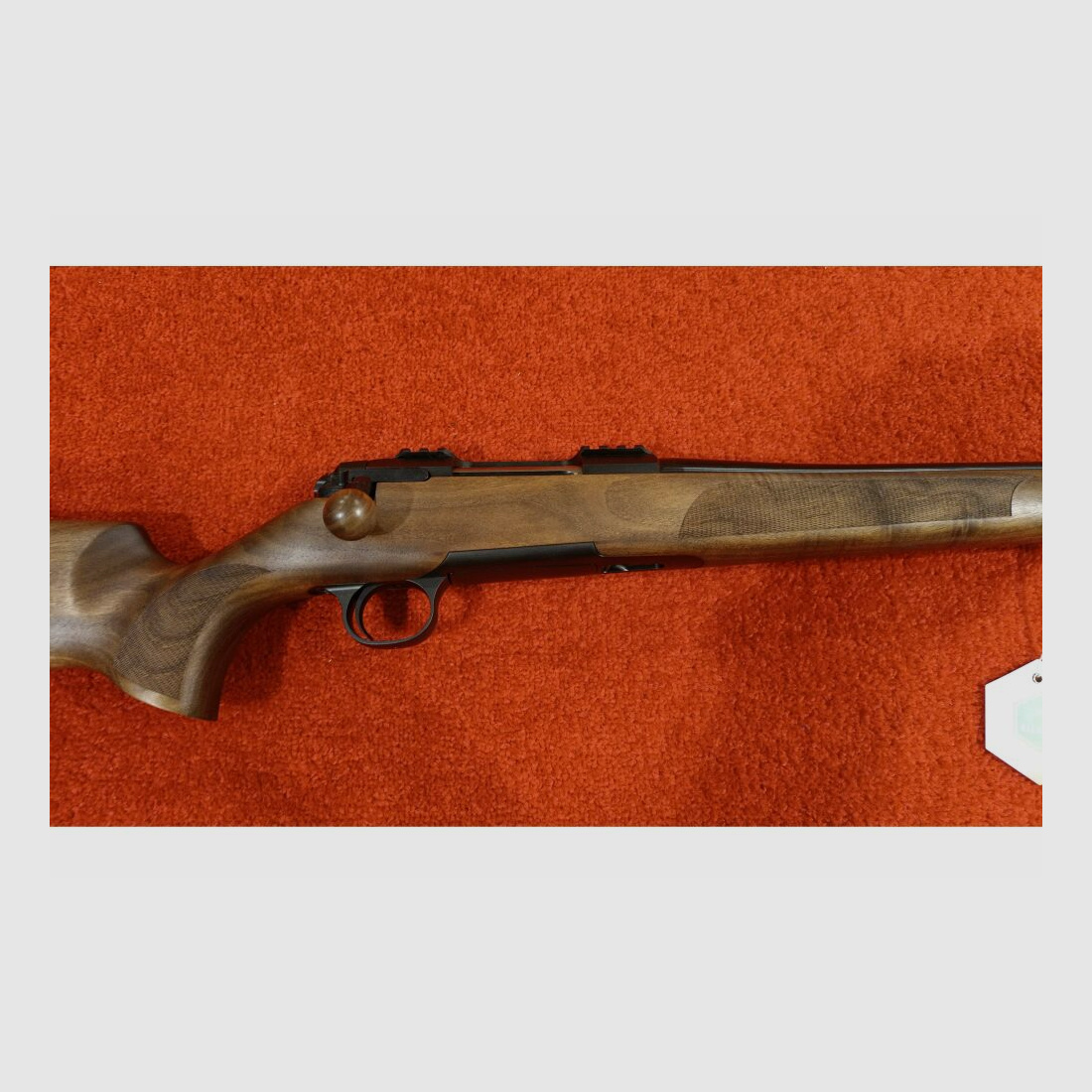 STEEL ACTION HS .308Win