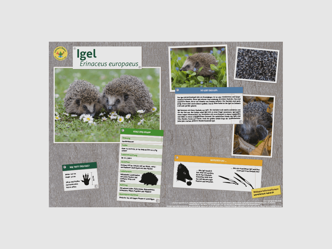 Lernort Natur-Tiertafel DIN A3 Igel