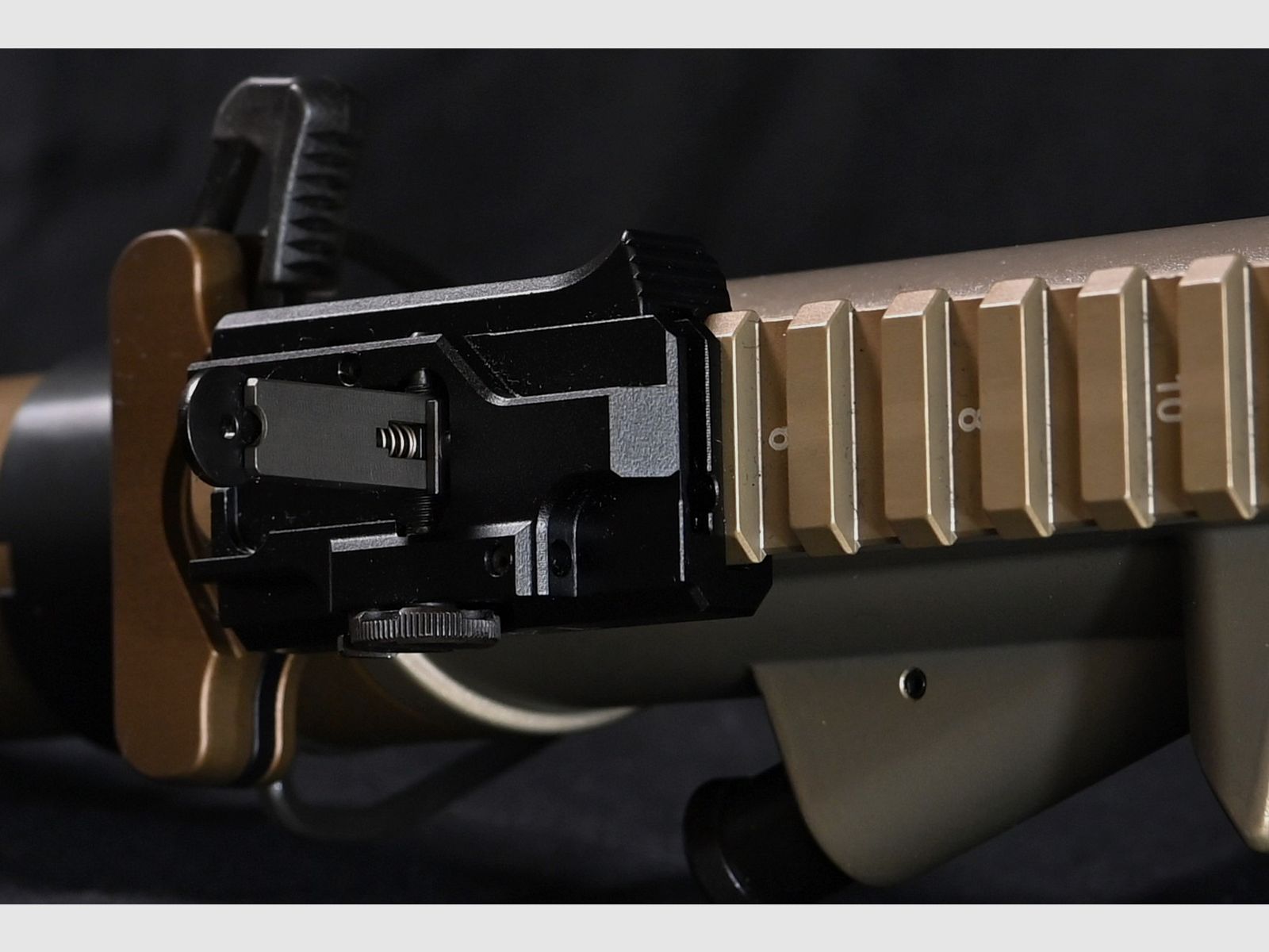 SL M 308 A3 con canna da 20 pollici opzionale con Steiner ZF marrone