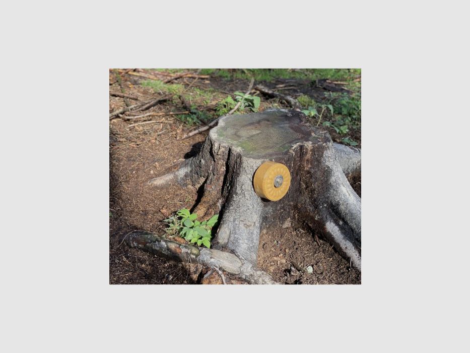 Juego de tornillos Wildlutscher para montaje en árbol