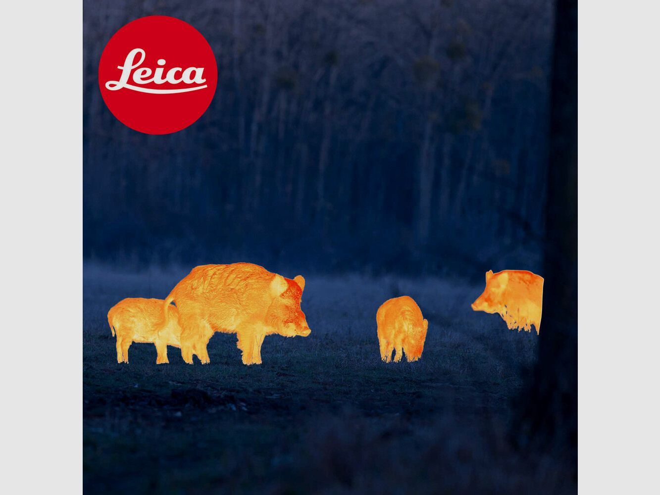 Leica-Optik - Wetzlar	 LEICA CALONOX SIGHT