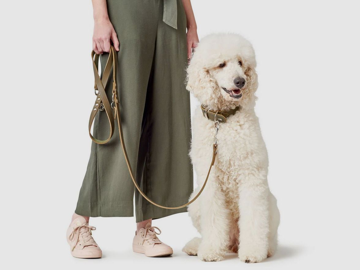 Hunter verstellbare Führleine aus Leder