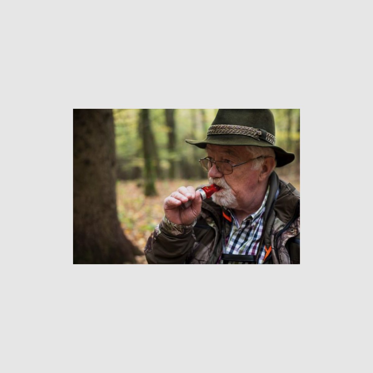 WEISSKIRCHEN Gänselocker Acryl