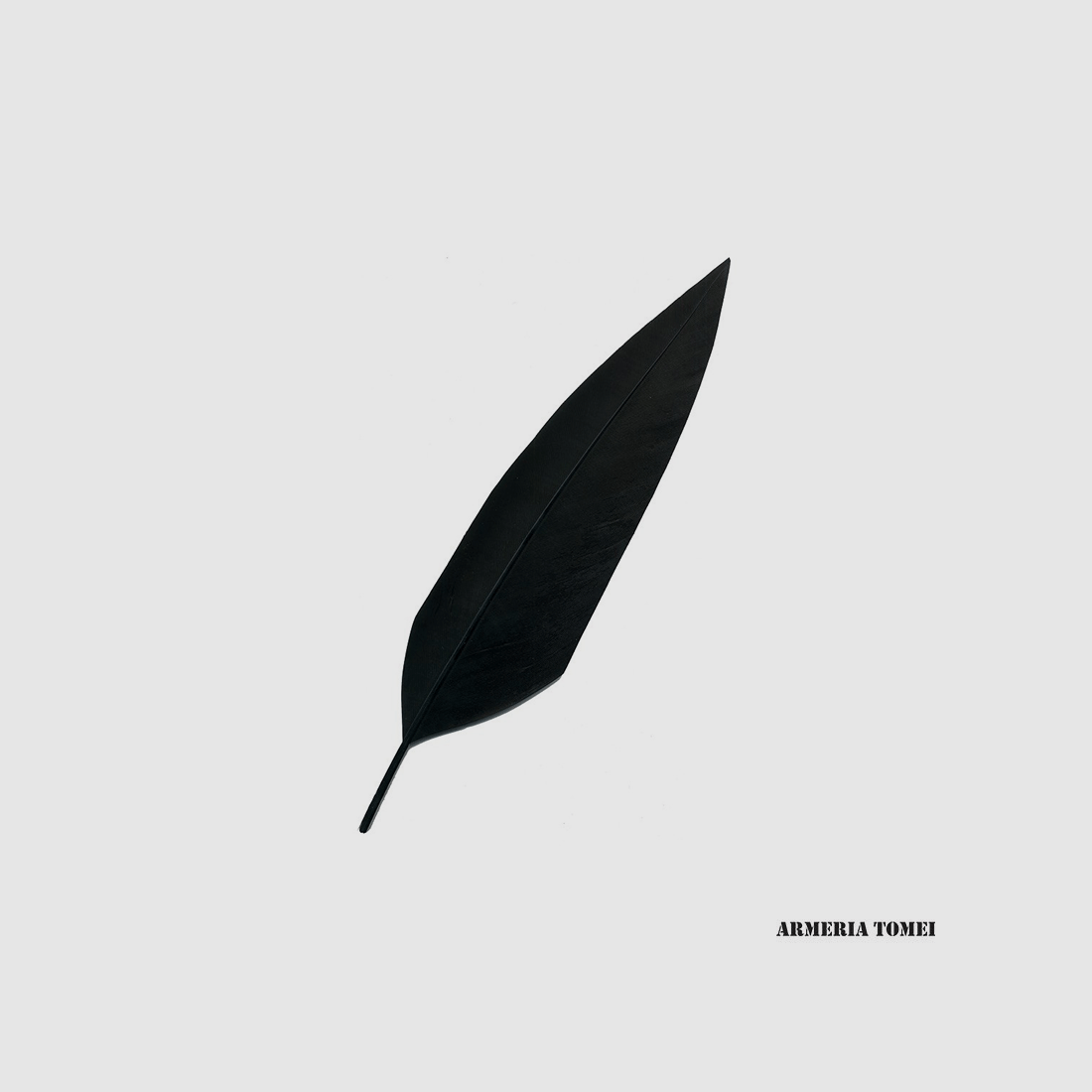 PENNA – CHAPEAU ALPIN – NOIR