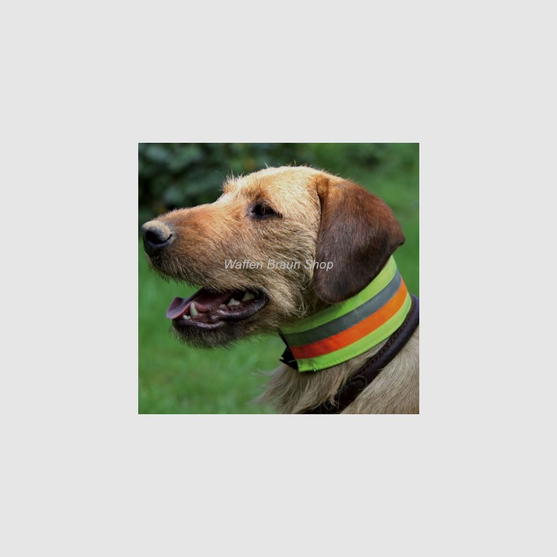 Reflektierendes Halsband, 7 cm breit, 55 cm lang