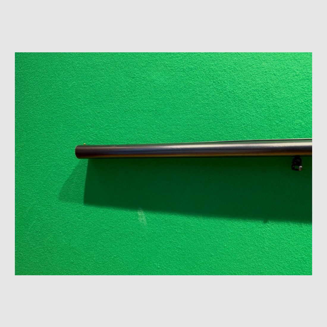 Habicht