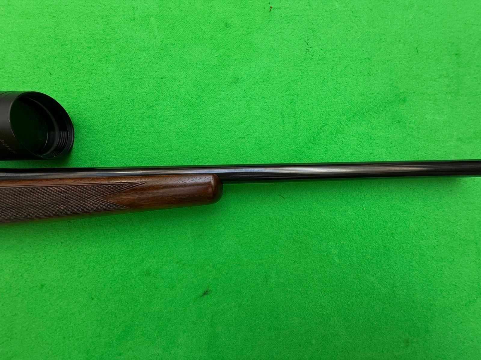 Sauer & Sohn 202 in .270Win & Vixen 6-24x58