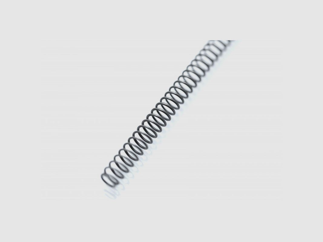 CZ Recoil Spring - Shadow 2, image 1 sur 3