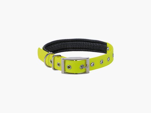 Collier chien double 45 cm Stepland