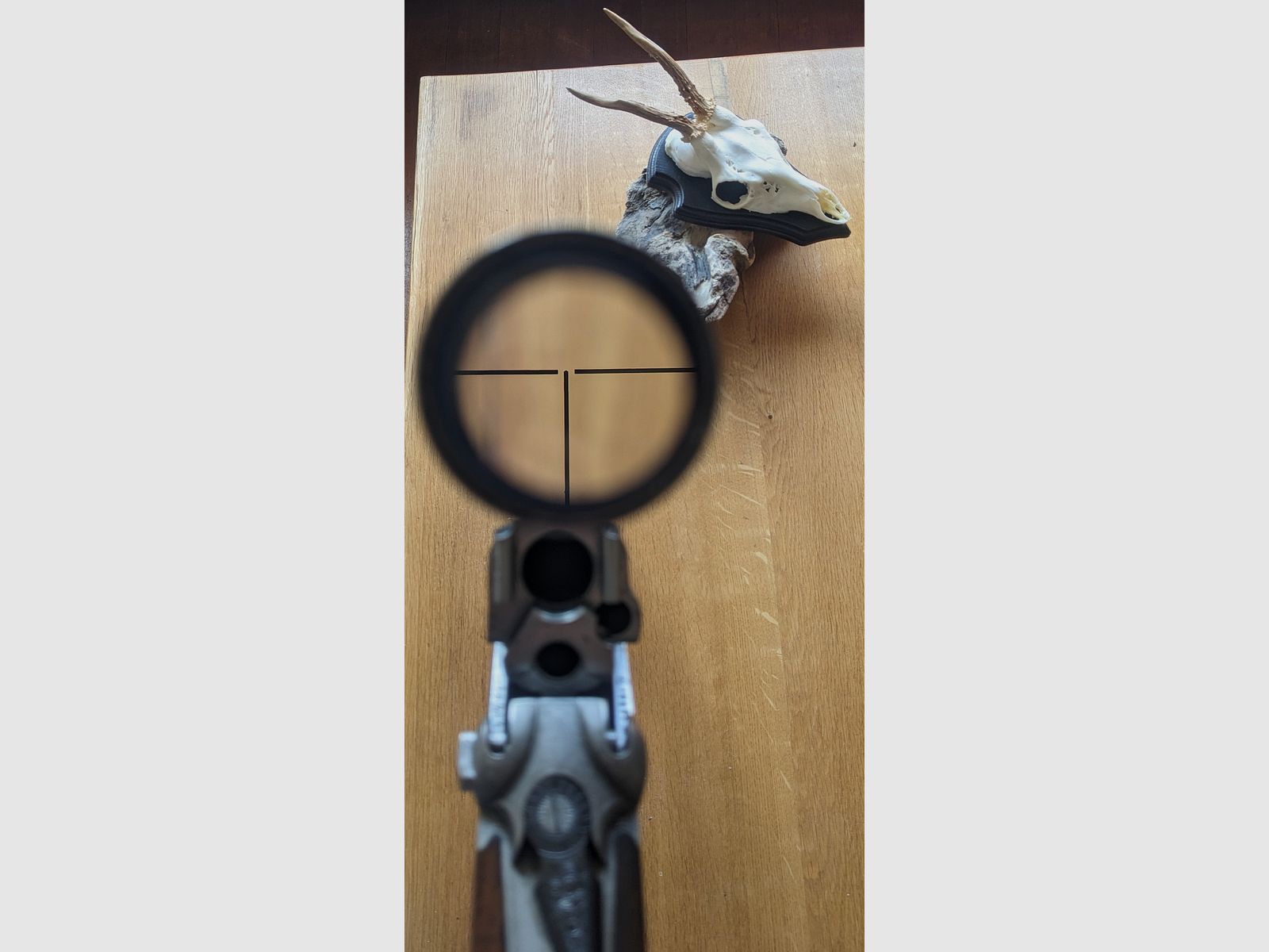 Ferlacher Bockdrilling – Franz Sodia (Kratochwil & Pleiter)