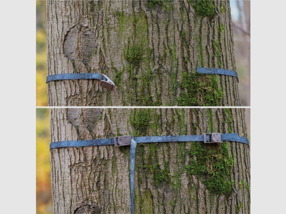 Zeiss Secacam Correa para árbol 2x, imagen 17 de 18