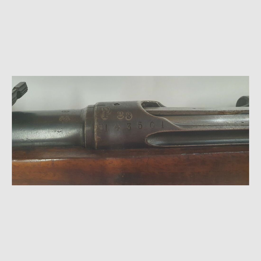 Waffenfabrik Bern Infanteriegewehr 1889