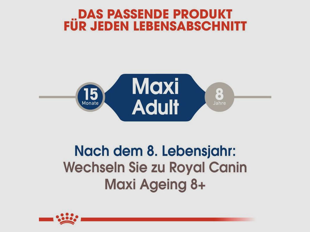 ROYAL CANIN Große Hunde Nassfutter Maxi Adult 10x140 g