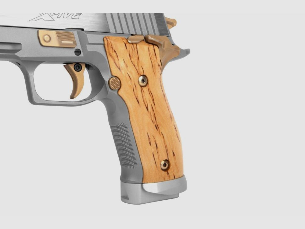 Sig Sauer P226 X Five Ny Scandic