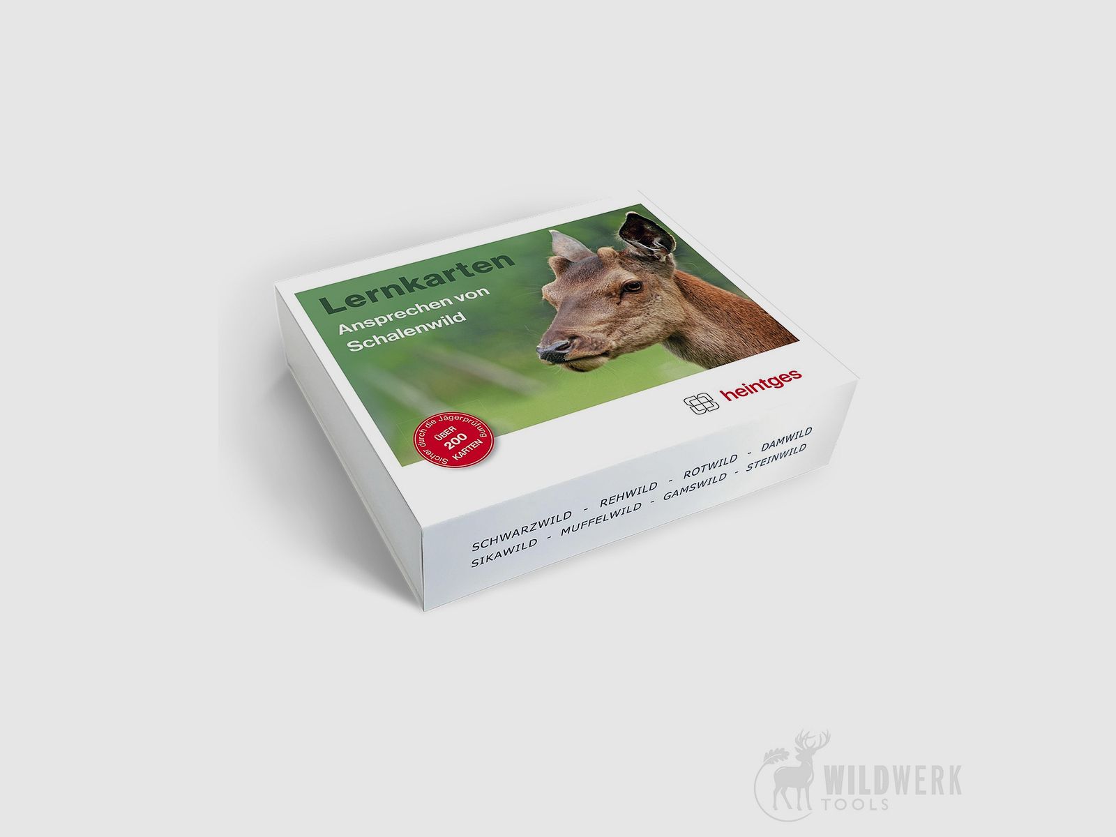 Heintges Learning Cards "Addressing Game Animals"
