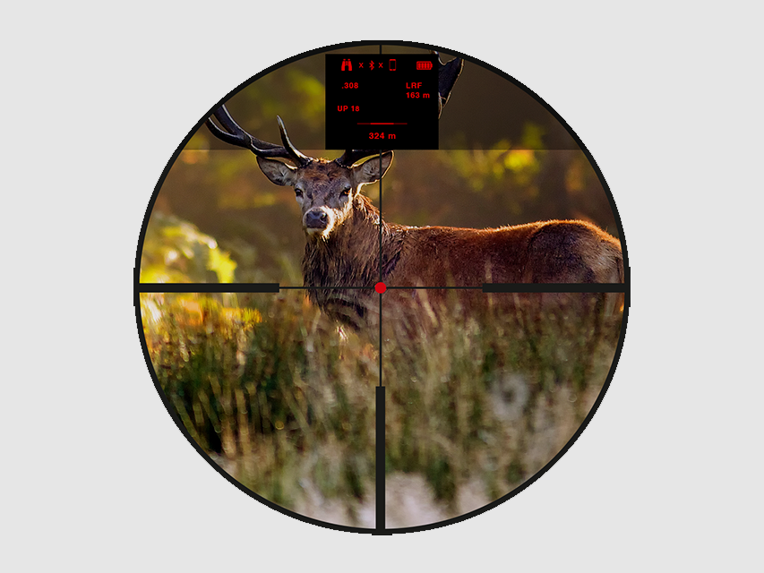 Steiner Optik eRanger 8 3-24×56, Bild 4 von 5