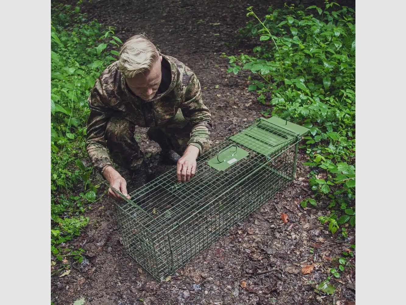 Frankonia piège à capture vivante – porte unique à battants