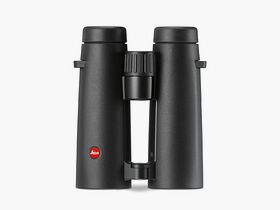 Leica Noctivid 8x42 schwarz