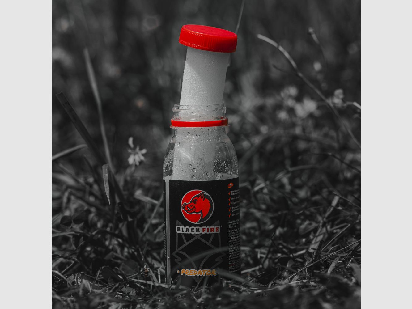 BLACK FIRE Predator 3x80g - Appât attractif pour prédateurs, image 6 sur 8