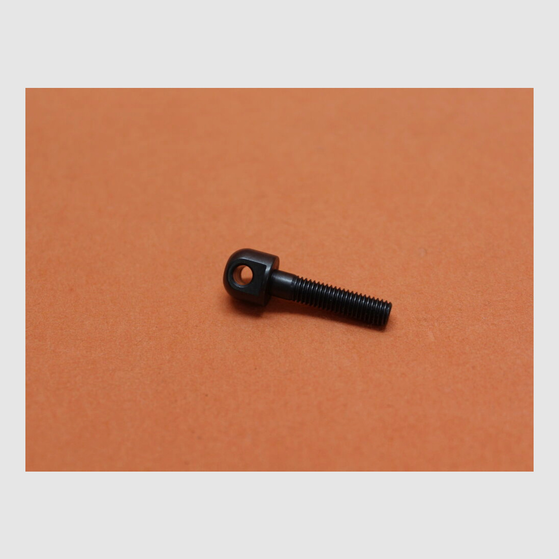 Recknagel tornillo de vástago / ojete de correa con rosca de máquina M5 ancho de cabeza 8mm / perforación 3,6mm (20240-0022)