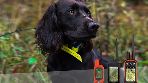 Hundeortung: Garmin vs. Tractive = Teuer & gut vs. günstig & fehlerhaft?