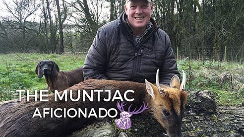 THE MUNTJAC AFICIONADO