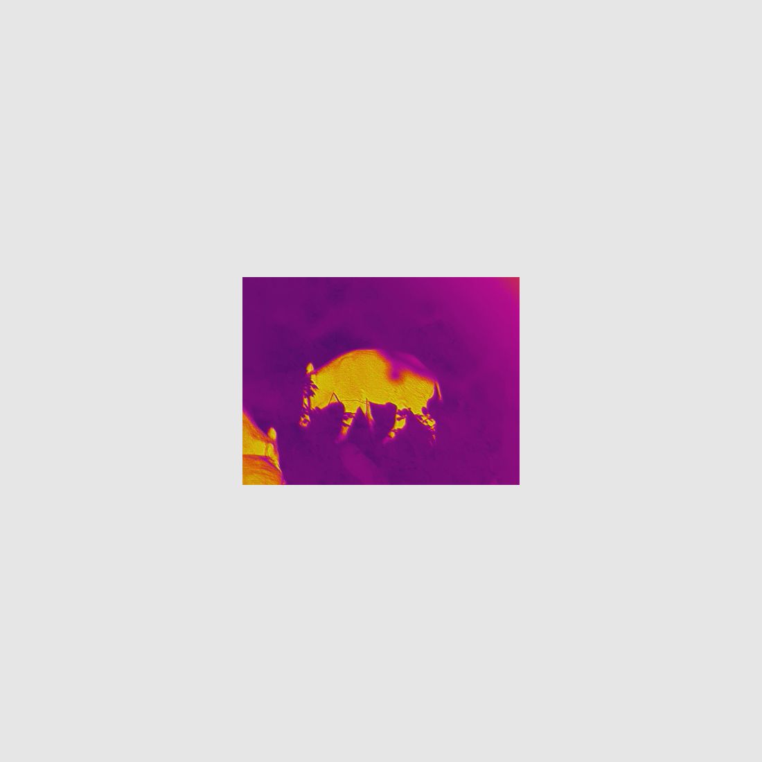 Jahnke Thermal PULS 50 à imagerie thermique avec silencieux et connexion à l’application, image 7 sur 9