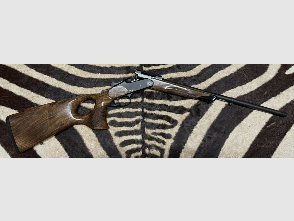 Blaser K95 Success